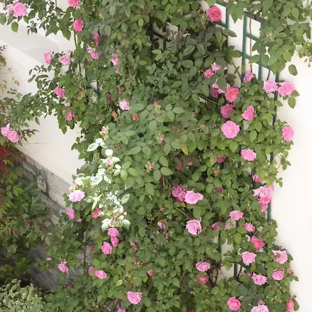 Maitagaria Ξενοδοχείο 3*