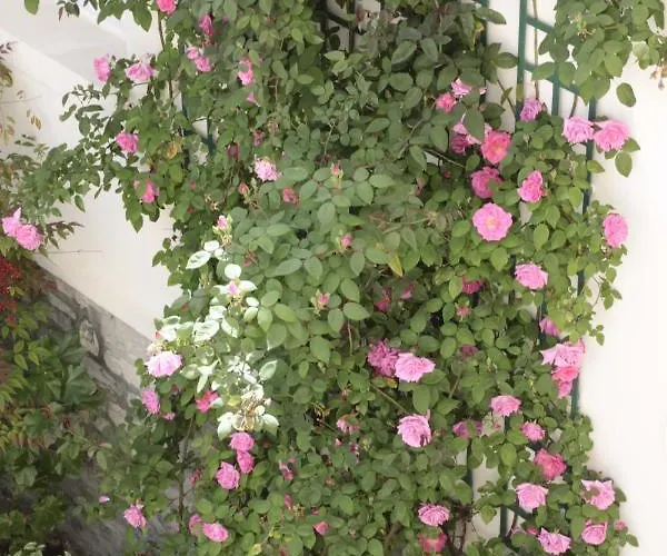 Maïtagaria Hotel 3*